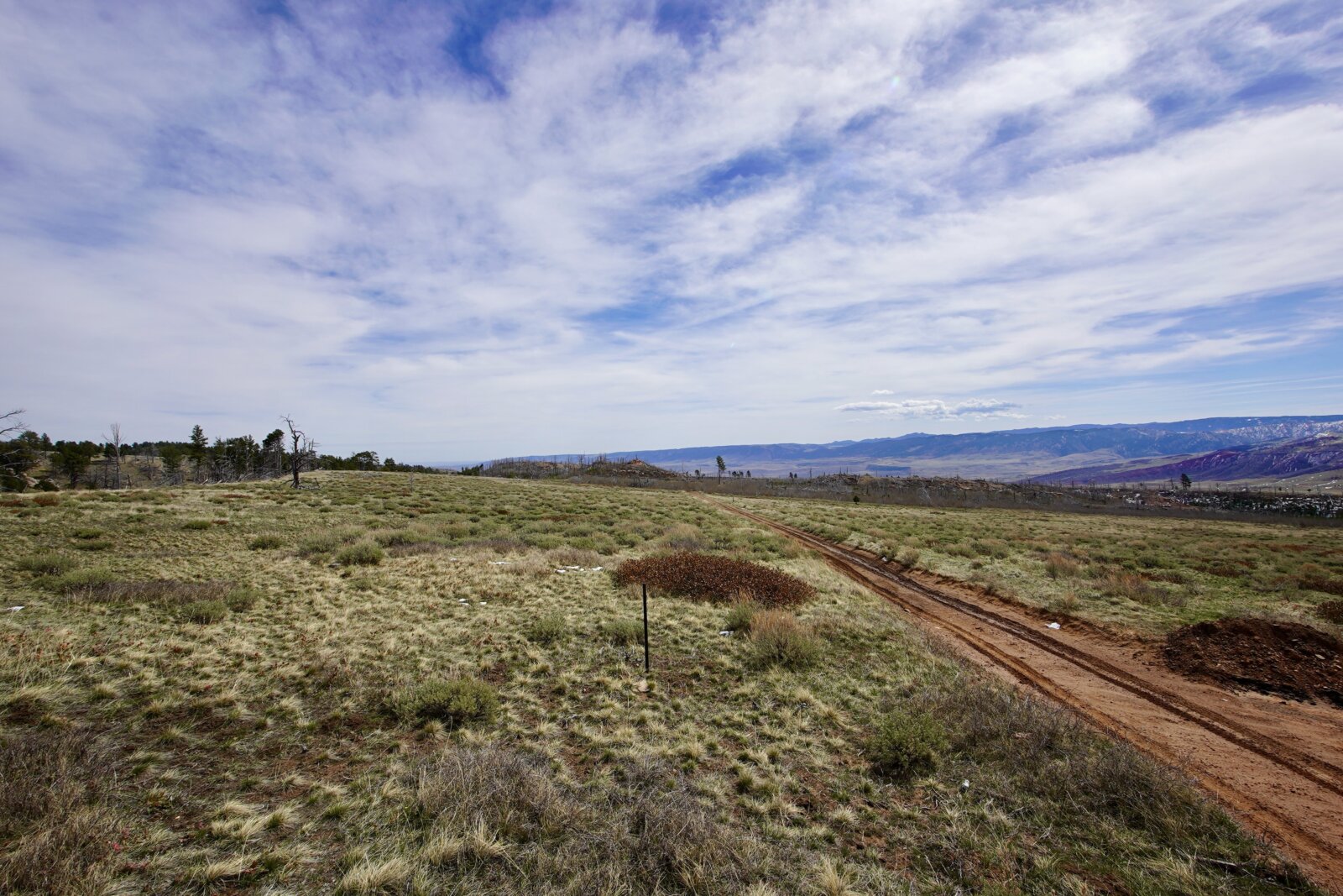 Ponderosa Lot 1